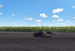 农业“大脑”护航“三夏”跑出加速度 紧盯产粮目标端牢中国人自己饭碗