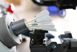 【理响中国·春江水暖鸭先知】一个羽毛球“打”出大产业