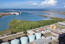 从滩涂到绿洲！中企助力印尼红树林新生 为可持续发展贡献中国力量