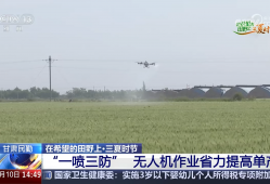 绿色生产、科技护航 夏收季田间地头粮食丰收果实飘香