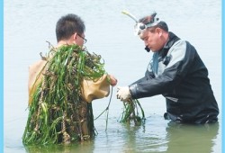 科技小院如何助农惠农？