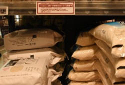 日本政府储备米库存量告急 或考虑进口大米