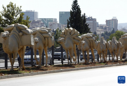 专访丨“希望与中国携手共建”——土耳其加济安泰普市长期待古丝路重镇焕发新活力