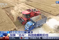 小麦丰收 科技助力 非遗也来凑热闹