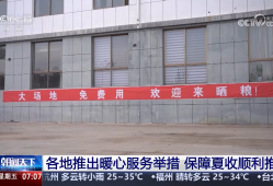 共享晒粮点、快速烘干 、24小时为农服务 各地推出暖心举措服务夏收