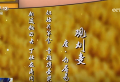 风吹麦成浪 静待稻花香 | 95秒聆听诗词中的芒种