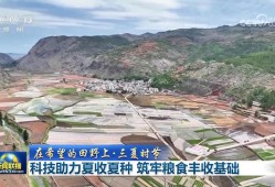 【在希望的田野上·三夏时节】科技助力夏收夏种 筑牢粮食丰收基础