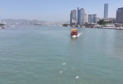 生态保护向“智”向“新” 白海豚有了高科技“保镖”