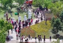 “票根宠粉”花样上新 “跨界优惠凭证”释放更多消费新增长点 | 梳理新发现↓