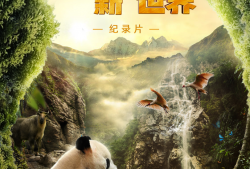 值此世界环境日之际，请查收这封来自中国“国宝”大熊猫的邀请函