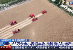 三夏抢收抢种忙：小麦机收 良种良机助增产 水稻种植 智慧种田促增收