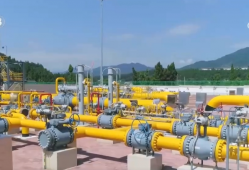 能源“大动脉”跨越式提升夯实经济“硬支撑” 经济发展“绿色引擎”动力更足