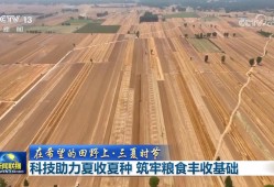 【在希望的田野上·三夏时节】科技助力夏收夏种 筑牢粮食丰收基础