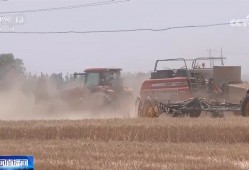 小麦丰收 科技助力 非遗也来凑热闹