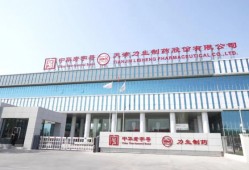 【理响中国·春江水暖鸭先知】一粒药片向“新”而行