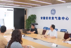 “三夏”小麦机收全面展开 智慧气象“抢”出麦收“加速度”