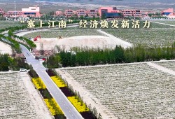 聚人气 拓市场 共奋进——“塞上江南”经济焕发新活力