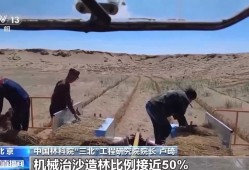 机械治沙造林比例接近50%！“三北”工程攻坚战取得新进展