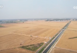 “三夏”小麦机收全面展开 智慧气象“抢”出麦收“加速度”