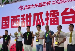 “商文旅”融合催热假日经济 “花样”民俗点燃消费市场新引擎