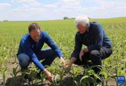 美国“粮仓”一线观察：关税政策冲击下的农民春播之困