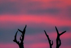 万物“赴”苏竞自由——解码人与自然和谐共生的“江苏样本”