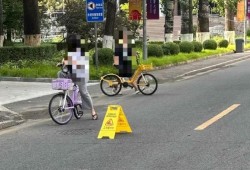 一树倾覆，清华园折翼：北语教授张爱玲的未竟之路