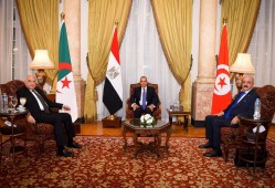 埃及、突尼斯、阿尔及利亚三国外长就利比亚问题举行会谈