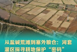 从盐碱荒滩到塞外粮仓：河套灌区探寻耕地保护“密码”
