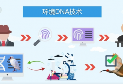 捕风捉“鹮”解码空气里的DNA密码 生态保护开启前所未有全新视角