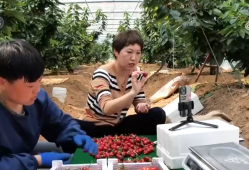 15亿件！小包裹撬动经济大市场 科技赋能快递业“跑”出加速度