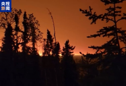 加拿大野火持续蔓延 萨斯喀彻温省未来几天仍需撤离数千人
