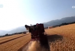 农业“大脑”护航“三夏”跑出加速度 紧盯产粮目标端牢中国人自己饭碗