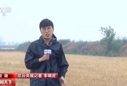 气象预报加上数字化监测 小麦“颗粒归仓”有了“最强大脑”