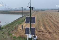 “三夏”小麦机收全面展开 智慧气象“抢”出麦收“加速度”