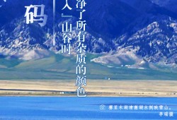 世界环境日丨看新疆的“绿色”答卷