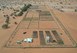 毛里塔尼亚环境部长：中非绿色合作播种非洲“绿色长城”的未来