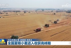 【在希望的田野上·三夏时节】全国夏粮小麦进入收获高峰期
