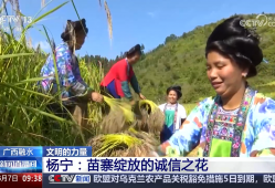 文明的力量 |信守承诺15年 她带着乡亲们摘掉穷帽奔致富路