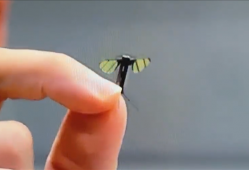 蚊子机器人问世：中国0.6克仿生技术重塑未来战场规则