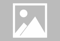 电影-巴里公主（动画电影）