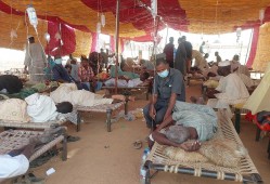 世卫组织：苏丹新一轮霍乱疫情已致超1770人死亡