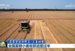 【在希望的田野上·三夏时节】全国夏粮小麦收获进度过半