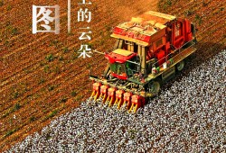 世界环境日丨看新疆的“绿色”答卷