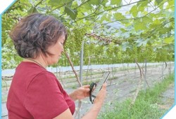 瞧！咱老乡消费也挺“潮”（经济新方位·农村消费观察）