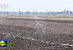 【在希望的田野上·三夏时节】全国夏粮小麦收获进度过半