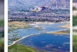 世界环境日｜美丽中国我先行 “绿色长城”阅雪域