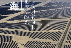 世界环境日丨看新疆的“绿色”答卷