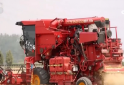 AI赋能“智慧”田管“三夏”更“聪明” 向科技要产能夯实丰产基础