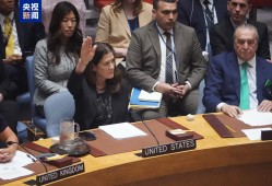 安理会加沙人道主义决议草案遭美国一票否决